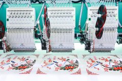 非遗手工艺与妇女事业发